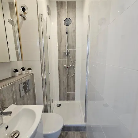 Race Yacht White Line *