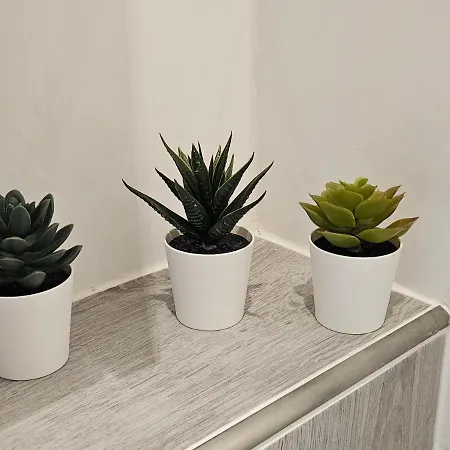 Race Yacht White Line アパート キール