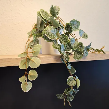 Race Yacht White Line アパート *