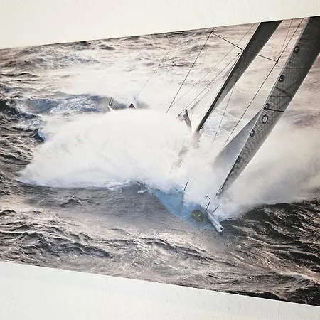 Race Yacht White Line Kiel